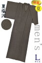 着物だいやす 254■男性用着物■レア♪夏塩沢 本場夏塩沢 手織 蚊絣 men's 赤墨色 特選 身長サイズ:男L【正絹】【仕立て上がり着物】【仕立て替え】 洒落【送料無料】【中古】