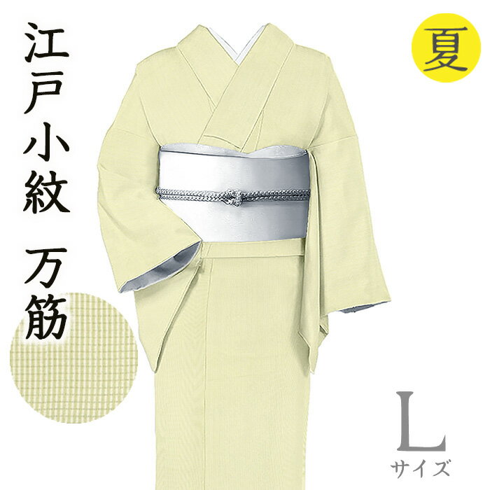 Rakuten - 【ショップ評価★5ありがとう♪】着物だいやす 517■江戸小紋■絽　万筋　ストライプ　夏　淡松葉色×白　身長サイズ：L【正絹】【仕立て上がり着物】【送料無料】【新品】