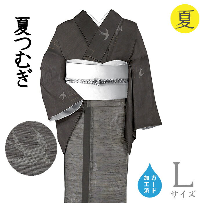 Rakuten - 【ショップ評価★5ありがとう♪】着物だいやす 859■生紬■レア♪夏紬　井桁に燕文　黒地　身長サイズ：L　ガード加工【正絹】【仕立て上がり着物】【送料無料】【新品】