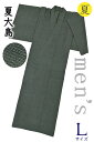 着物だいやす 916■男性用着物■夏大島 詰亀甲 無地感覚 men's 錆鼠色 身長サイズ:男L【正絹】【仕立て上がり着物】【仕立て替え】 洒落【送料無料】【中古】