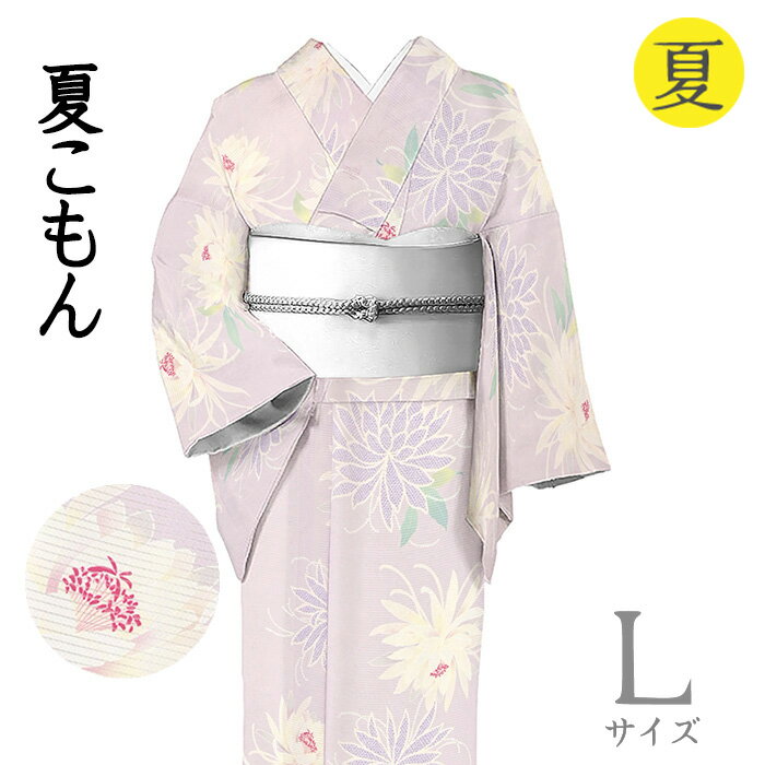 Rakuten - 【ショップ評価★5ありがとう♪】着物だいやす 508■小紋■坪金ブランド　絽　夏　月下美人文　淡菖蒲色　身長サイズ：L【正絹】【仕立て上がり着物】【送料無料】【新品】