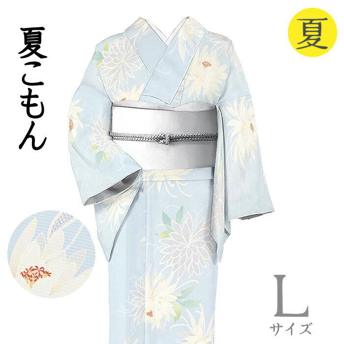 Rakuten - 【ショップ評価★5ありがとう♪】着物だいやす 510■小紋■坪金ブランド　絽　夏　月下美人文　淡薄花色　身長サイズ：L【正絹】【仕立て上がり着物】【送料無料】【新品】