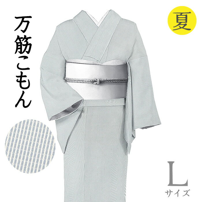乐天商城 - 【ショップ評価★5ありがとう♪】着物だいやす 566■江戸小紋■絽　万筋　ストライプ　夏　薄藍鼠色×白　身長サイズ：L【正絹】【仕立て上がり着物】【送料無料】【新品】
