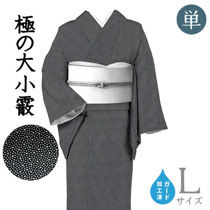 【ショップ評価★5ありがとう♪】着物だいやす 595■江戸小紋■単衣 丹後ちりめん 極の大小霰 監修伝統工芸士 黒 ガード加工 身長サイズ：L【正絹】【仕立て上がり着物】【送料無料】【新品】