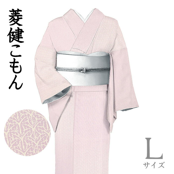 着物だいやす632■小紋■菱健桐壷...