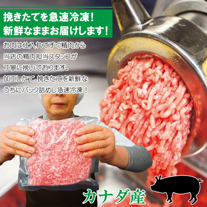 豚挽き肉　カナダ産　500g入　冷凍　パラパラミンチではありませんが格安商品【ひき肉】【ひきにく】【挽肉】【挽き肉】【豚ミンチ】 【豚ひき肉】【豚挽肉】 2