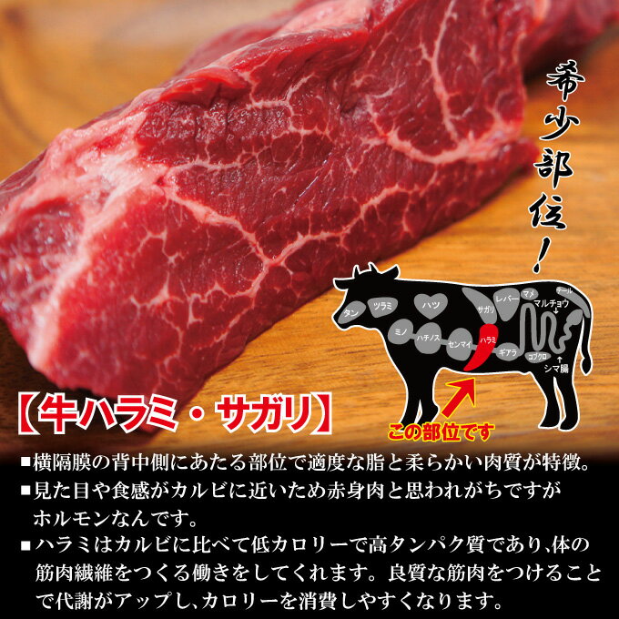 霜降り厚切り牛肉ハラミ500g冷凍　米国産【焼肉】【はらみ】【和牛や国産に負けない味わい】