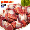 国産鶏のスナギモ串30g×50本