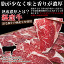 ご自宅用で 熟成濃厚黒毛和牛すき焼き・焼肉カルビ用選べるたっぷり500g【赤身】【国産牛】【霜降り】【リブロース】 2