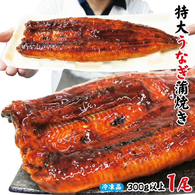 特大うなぎ蒲焼き300g以上冷凍　中