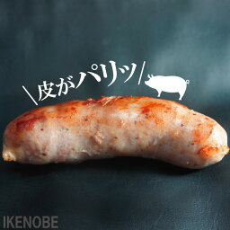 粗挽き生サルシッチャ500g(5本入)冷凍 本場イタリアに負けない肉汁たっぷり 黒豚 島豚 国産豚肉 ソーセージ ウィンナー