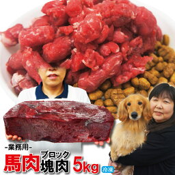 塊肉5kg端切れ馬肉 業務用　冷凍ブロック【ペットフード】【ドッグフード】【馬肉切落し用】【犬用】【猫用】【キャットフード】【生肉】