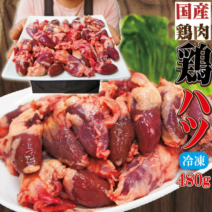 国産鶏ハツはつ冷凍480gハート心臓部分【焼鳥】【串】【とり肉】