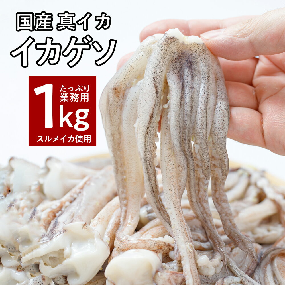 [ イカゲソ ] 国産 スルメイカげそ 業務用 ［1kg・約16〜24本］ ゲソ するめいか 冷凍 いか イカ いかげそ イカ足 下足 げそ 烏賊 焼き BBQ バーベキュー 生 魚介類 シーフード 真いか 冷凍イカ 真いか いかゲソ いかの足