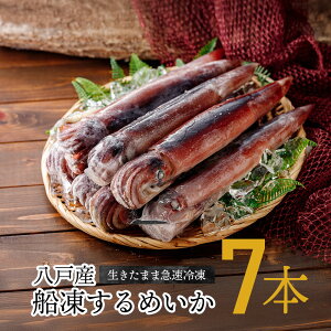 八戸産 船凍するめいか 7杯入 1.6~1.7kg / イカ スルメイカ いか 冷凍イカ 冷凍 船内冷凍 船凍いか お刺身 イカの塩辛 冷凍いか 生 イカ刺し 刺身用 食品 魚介類 シーフード 生いか 肝 刺身いか お取り寄せ 小さめ 冷凍いか 青森県