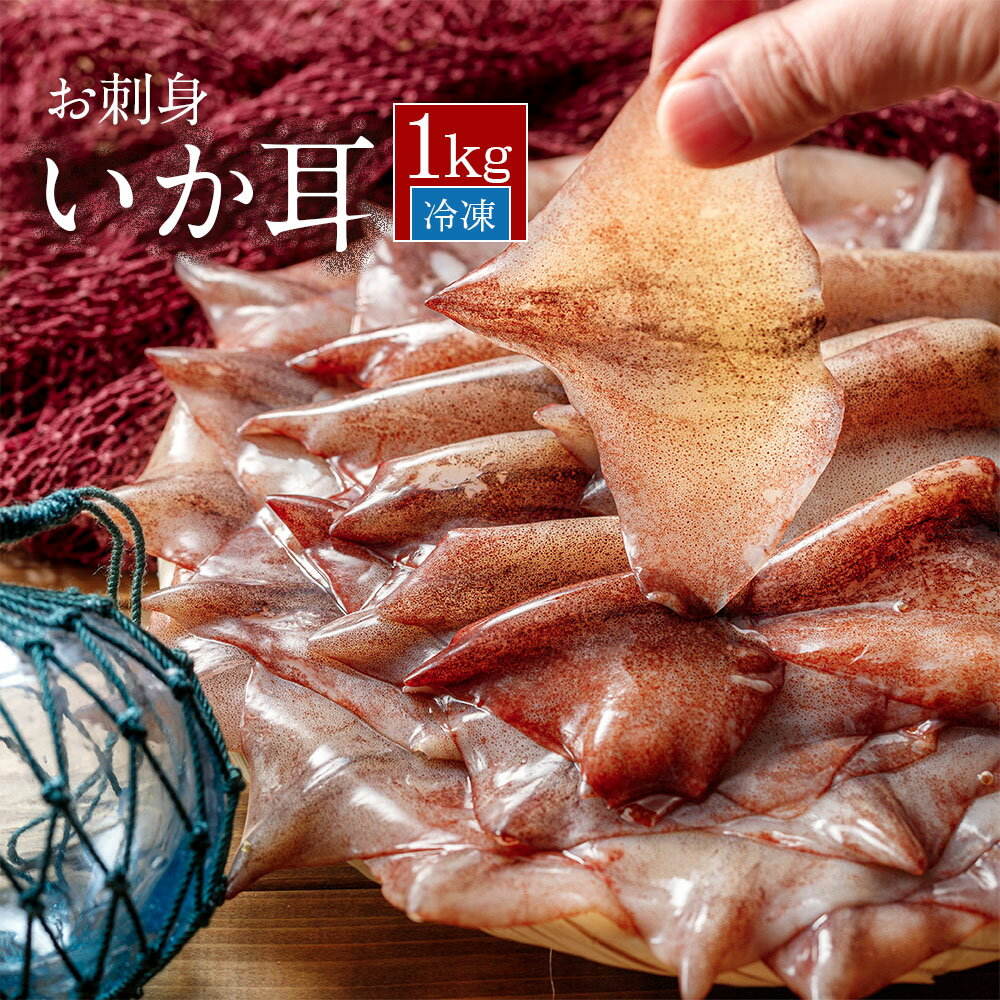 お刺身 いか耳 1kg するめいか エンペラ 冷凍 生食可 国産 アルゼンチン産 ／ いかみみ スルメイカ ダルマ 冷凍いか いかの耳 いか イカ イカ耳 イカ...