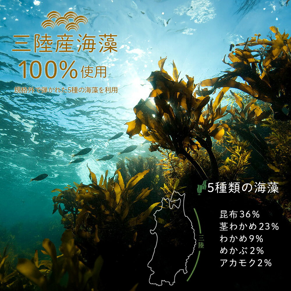 かけるだけ海藻 もっと藻 100g 1パック ご飯のおともに ／ 昆布 めかぶ わかめ 茎...