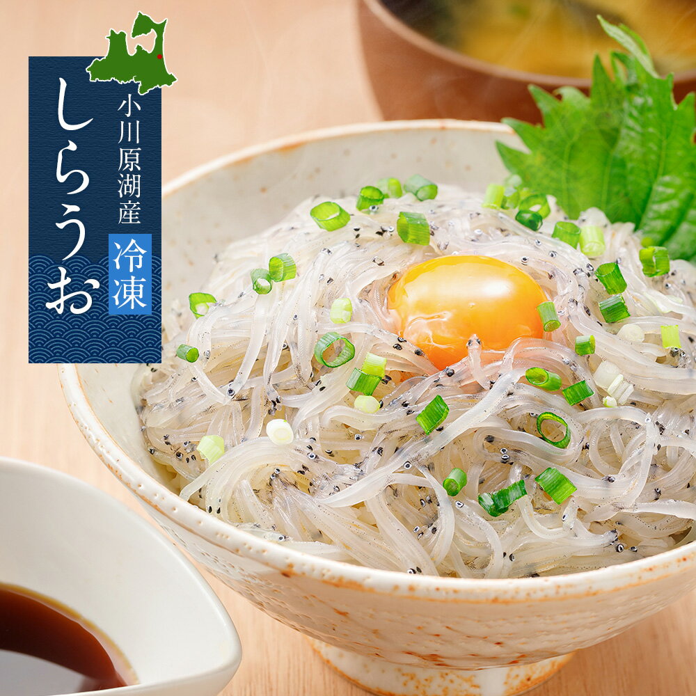 ＼新物入荷／小川原湖産 冷凍 しらうお 100g 生食用 白魚 お刺身用 シラウオ 丼 しらうお丼 冷凍しらうお 生 海鮮丼 プレゼント 通販 ご当地グルメ お取り寄せ グルメ 高級魚 国産 青森県