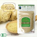 スパイス ジンジャーパウダー 粉末 【 スリランカ産・有機ジンジャーパウダー(30g) 】製菓材料 JASオーガニック認証 フェアトレード認証(FLO) エコパ...
