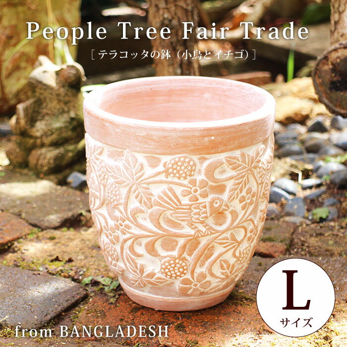 եȥ졼PeopleTreeڥƥ饳åȭʾĻȥˣ͡ۥƥꥢߥǥ˥󥰥ԡץĥ꡼Сɾץ󥿡ȭڤбۡڥåԥб