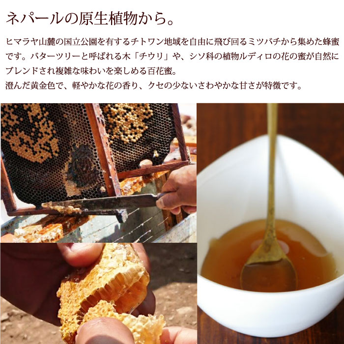 蜂蜜 純粋 はちみつ ハチミツ【 第3世界ショップ Artisan ネパールはちみつ 170g ...