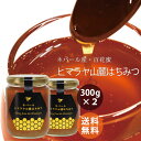 【送料無料】蜂蜜 純粋 はちみつ ハチミツ【 ネパール産ヒマラヤ山麓はちみつ 300g×2個セット 】フェアトレード 天然はちみつ ギフトSDGs【ラッピング対...