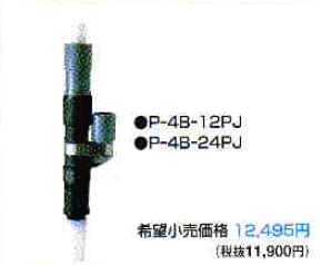 テラル　P-4B-24PJ　コンパクト用ジェット（300W用）　吸上げ16〜24m　【RCP】　05P27May16