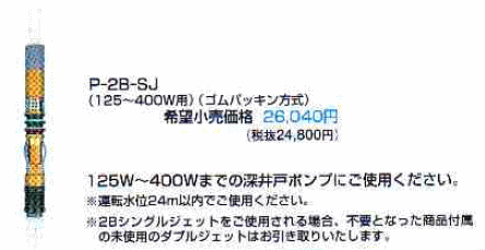 テラル　P-2B-SJ　深井戸用2Bシングルジェット　（125W〜400W用）　【RCP】　05P27May16