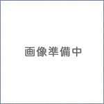 日立　ハネグルマ（WT-P200V、WT-K200V、WT-P200W、WT-K200W 用） WT-P200V-003 井戸ポンプ用　ランナー　羽根車