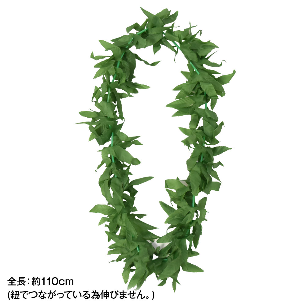 ��¨Ǽ�ۡ���ŷ��󥭥󥰳����� �ե���󥹰��� �쥤 �� ¤�� �ե���� ����� �꡼�� �ϥ磻����쥤 �ϥ磻���� �ե���󥹾�ʪ ���å� �ե龮ʪ �ե����� �ե�������� ���󥹰��� ���󥹾�ʪ �ե꡼ ���꡼�� �� X41C22 [M�� 1/2] PNF