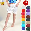 \楽天ランキング獲得/ 【即納】フラダンス衣装 フラ用アンダーパンツ ダンスインナー 見せパン レッスンウェア フラ の 衣装 コスチューム ショートパンツ T...