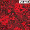 【即納】【アウトレット生地】生地 ハワイ柄 ハワイアン柄生地(約113cm巾x2mカット済) 布 柄 ハワイアンプリント生地 モンステラ ハイビスカス 葉 ヤシ パウスカート生地 フラダンス衣装の材料 クッションカバー 綿混 ブラック レッド L35N20 M便 3/4