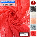 【即納】生地 W巾 ペイズリー柄レース生地 (150cm巾x50cm単位) 柄 小花 幅広 おしゃれ生地 カフェカーテン 目隠し スカート ボレロ マスクや小物...