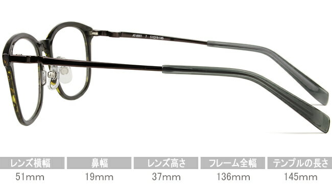 アミパリ AMIPARIS メガネ 眼鏡 伊達 新品 鼻パッド 老眼鏡 遠近両用 送料無料 グリーンササ/グレー at-8901 c.7 ap058