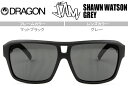 ドラゴン DRAGONTHE JAM SHAWN WATSON/GREY マットブラック 鼻盛りタイプ度付対応(ご相談下さい)MADE IN ITALY送料無料 JAM SHAWN drs004(4)