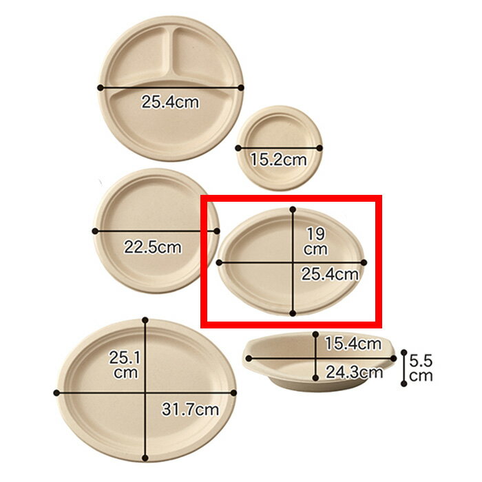 紙皿 使い捨て ペーパーウエア エコバンブー 竹繊維 楕円型 小 20枚 テイクアウト容器 出店 屋台 持ち帰り用 業務用 EX5-404-1-4【代金引換不可】