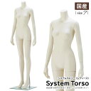 全身マネキン レディース 7号 直立ポーズ ヘッドレス 腕有り 固定アーム アイボリー 専用強化ガラスベース SBT11-A31V【北海道・沖縄・離島送料別途】