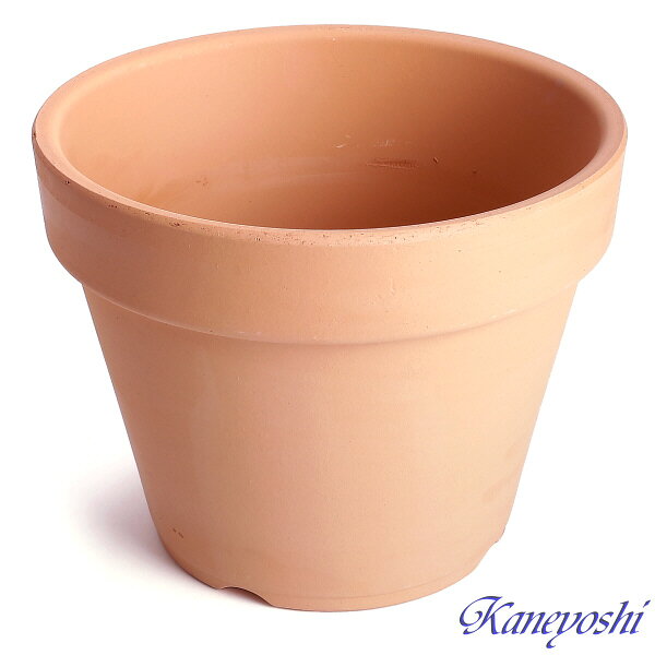 ȭ ȭ ؤΤɤä㤨ֿʪˤ䤵 Ǿȭ BASIC 5 15cm Ͼ ȭ ƫ ǾƤ  ƫȭ ¤ƿʪɤȭ ץ󥿡 ݻ ǥ˥ ȭ 緿      ȭ 襤 ʡפβǤʤ320ߤˤʤޤ