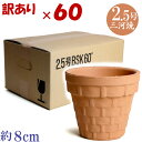 【訳あり特価 箱買い60個入り】BSK 2.5号 素焼 日本製 三河焼 植木鉢 陶器 おしゃれ 苗鉢 サイズ 8cm 安くて丈夫 父 母 家庭菜園 ガーデニング 高級感 おしゃれ ナチュラル 北欧 ガーデン バスケット 和風 アジアン テイスト プレゼント 安い 贈り物 シンプル 伝統 人気
