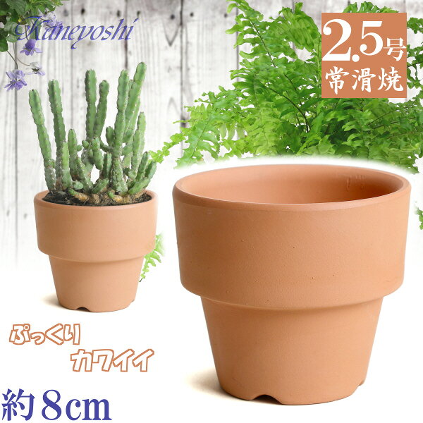 楽天市場】水鉢（種類（植木鉢）盆栽鉢）（ガーデニング・農業｜花
