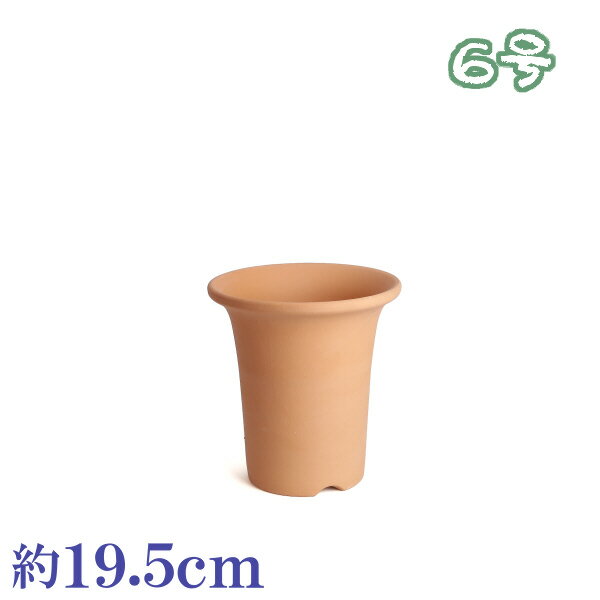 【訳あり特価】 植木鉢 陶器 おしゃれ サイズ 19．5cm 安くて植物に良い鉢 素焼並ラン鉢 6号