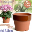 【訳あり特価】丈夫で長持ち 植木鉢 陶器 寸胴 駄温鉢 5号 サイズ 15.5cm 三河焼 陶器鉢 深型 おしゃれ レンガ色 テラコッタ 高級感 日本製 プラン...