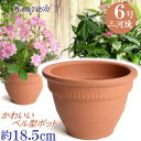 カントリー 6号 赤焼 日本製 三河焼 植木鉢 陶器 おしゃれ レンガ色 テラコッタ サイズ 18cm 安くて丈夫 父 母 家庭菜園 ガーデニング 高級感 おし...