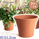 丈夫で長持ち 植木鉢 深鉢 ローズ 赤焼 サイズ 10号 32cm 穴有 三河焼 植木鉢 陶器 おしゃれ 陶器鉢 安くて丈夫 レンガ色 父 母 家庭菜園 プランター 園芸資材 ガーデニング 大型 小型 室内 屋内 屋外 日本製 かわいい 園芸用品 和風 深型 シンプル 伝統 人気