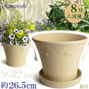 DLローズ チェリー 白焼 8号 & KN受皿1228付 日本製 三河焼 植木鉢 陶器 おしゃれ ベージュ テラコッタ サイズ 26cm 安くて丈夫 父 母 家...