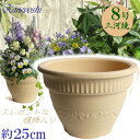 ヨーロピアン 8号 白焼 日本製 三河焼 植木鉢 陶器 おしゃれ 生成り ベージュ テラコッタ サイズ 25cm 安くて丈夫 父 母 家庭菜園 ガーデニング 高...
