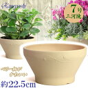 ナチュラル ベリー 7号 白焼 日本製 三河焼 植木鉢 陶器 おしゃれ 生成り ベージュ テラコッタ サイズ 22cm 安くて丈夫 父 母 家庭菜園 ガーデニン...