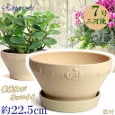 ナチュラル バラ 7号 白焼 & KN受皿1178付 日本製 三河焼 植木鉢 陶器 おしゃれ ベージュ テラコッタ サイズ 22cm 安くて丈夫 父 母 家庭菜...