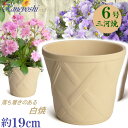 丈夫で長持ち 植木鉢 陶器 ハーブのかおり 6号 白焼 サイズ 19cm 三河焼 鉢 陶器鉢 深型 おしゃれ 白色 ホワイト 高級感 日本製 プランター 園芸資材 ガーデニング 大型 小型 室内 屋内 屋外 日本製 かわいい 園芸用品 ベランダ 鉢植え 多肉植物 観葉植物 インテリア