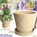 丈夫で長持ち 植木鉢 陶器 ハーブのかおり 8号 白焼 & KN受皿1228付 サイズ 25cm 三河焼 鉢 陶器鉢 深型 おしゃれ 白色 ホワイト 高級感 日本製 プランター 園芸資材 ガーデニング 大型 小型 室内 屋内 屋外 日本製 かわいい 園芸用品 ベランダ 鉢植え 観葉植物 インテリア